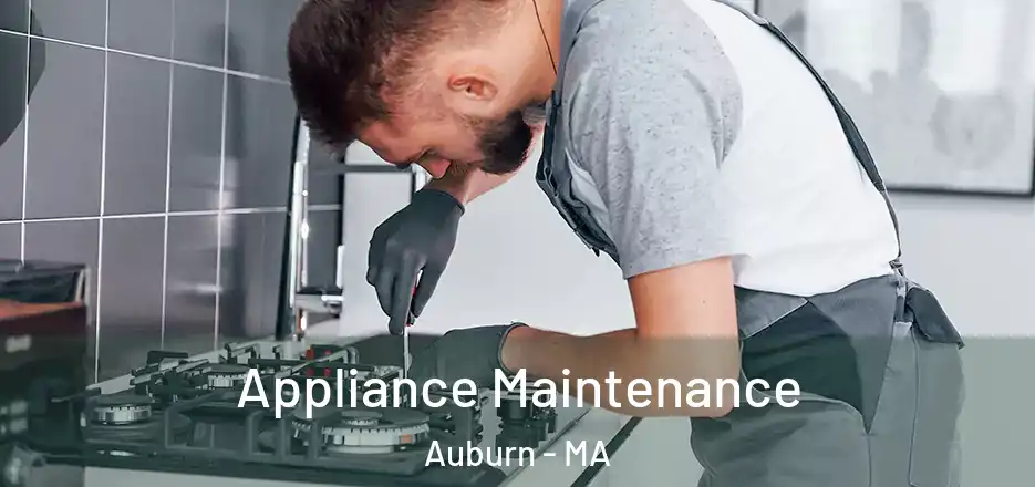 Appliance Maintenance Auburn - MA