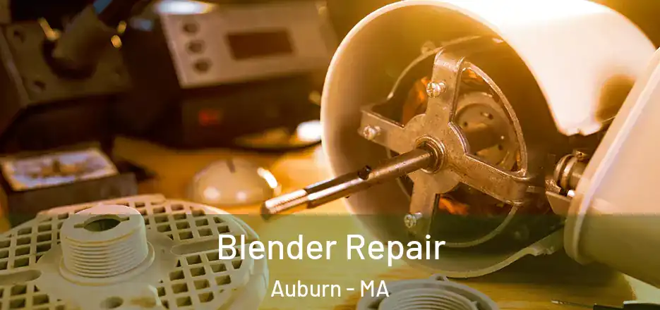 Blender Repair Auburn - MA