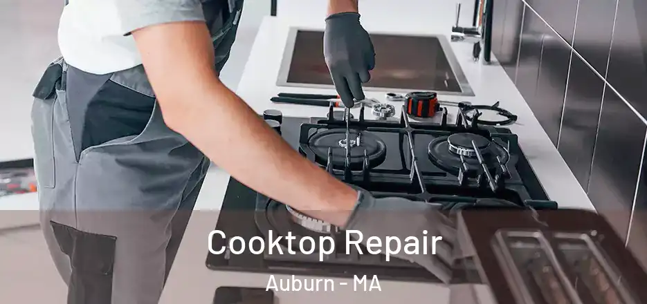  Cooktop Repair Auburn - MA