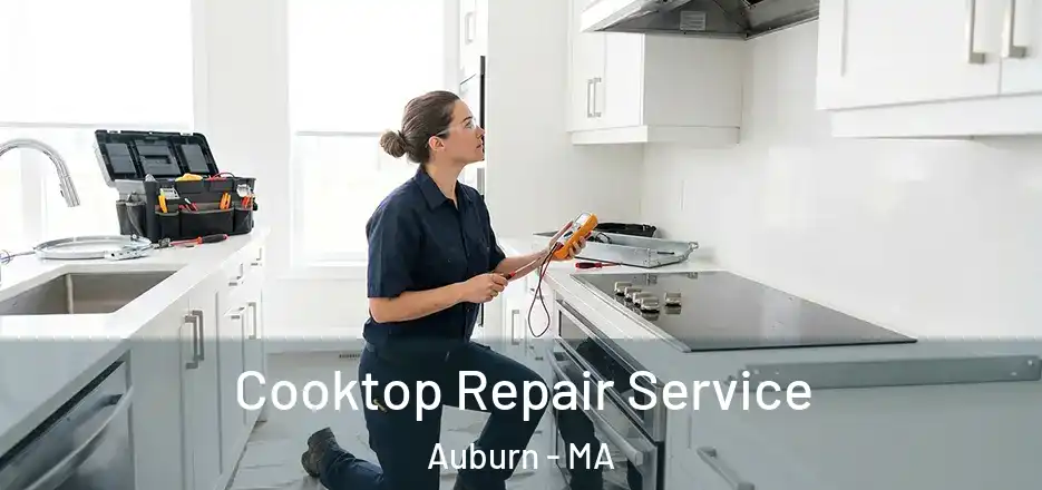  Cooktop Repair Service Auburn - MA
