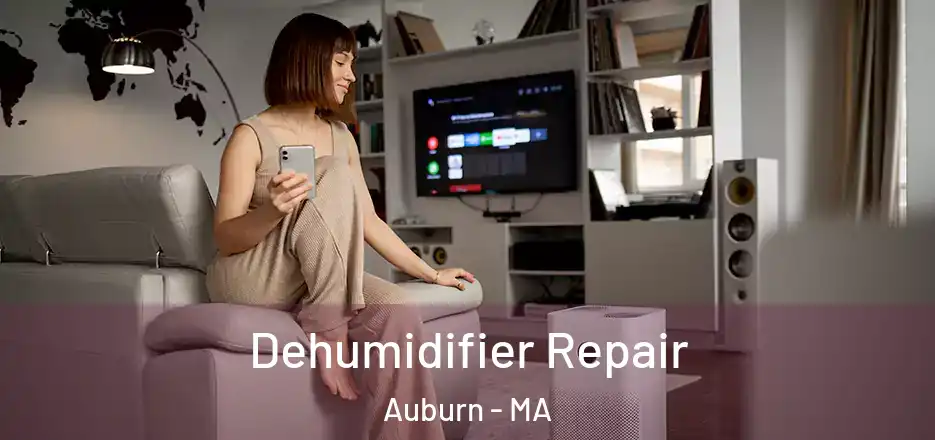 Dehumidifier Repair Auburn - MA