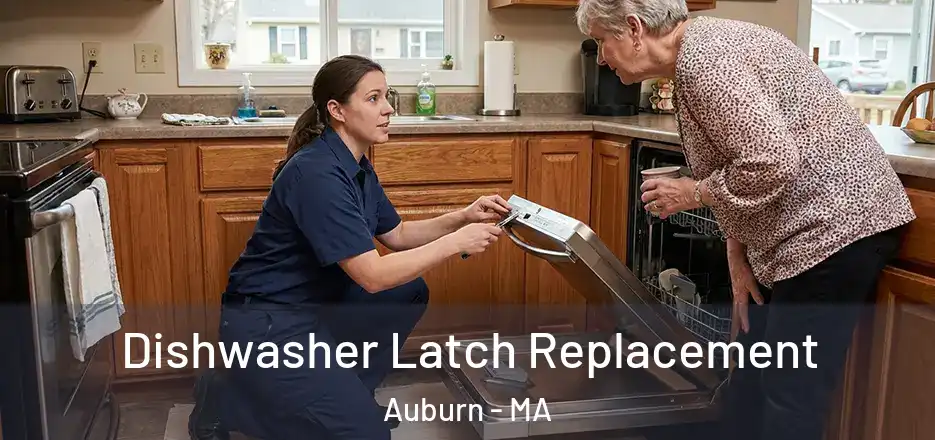 Dishwasher Latch Replacement Auburn - MA