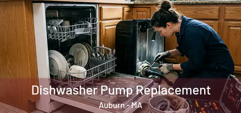 Dishwasher Pump Replacement Auburn - MA