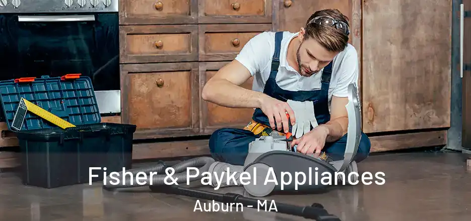 Fisher & Paykel Appliances Auburn - MA