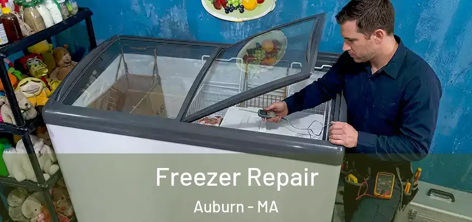 Freezer Repair Auburn - MA
