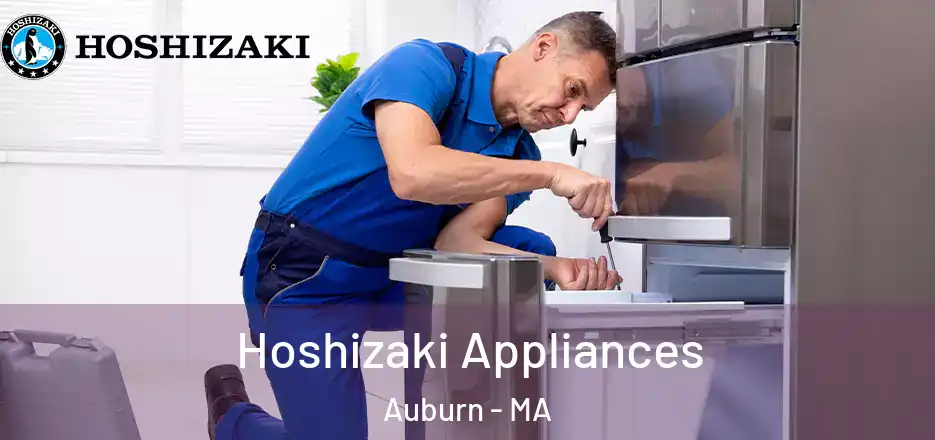 Hoshizaki Appliances Auburn - MA