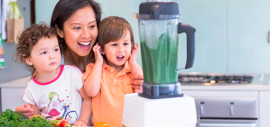 Juicer and Mixer Blender Repair in Auburn