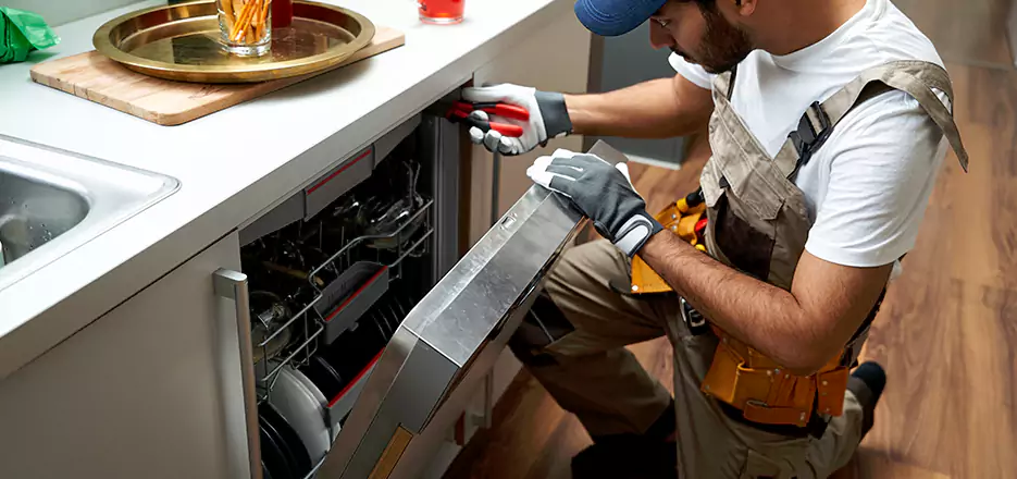 Same Day Dishwasher Not Draining Repair in Auburn