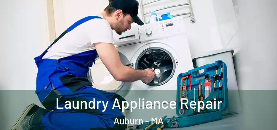 Laundry Appliance Repair Auburn - MA