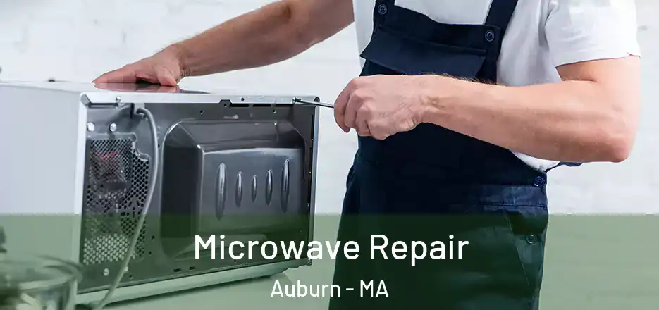 Microwave Repair Auburn - MA