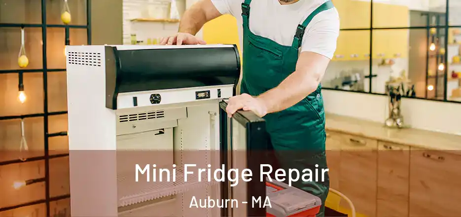 Mini Fridge Repair Auburn - MA