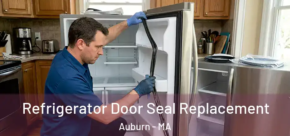  Refrigerator Door Seal Replacement Auburn - MA