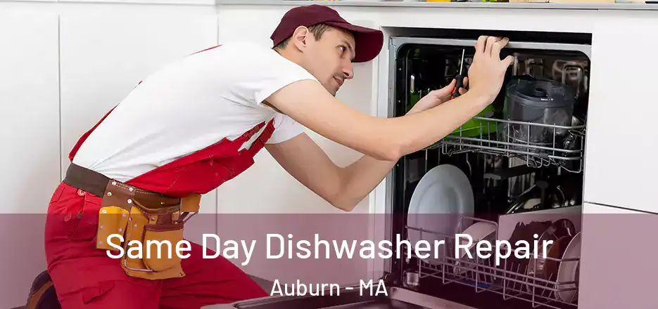 Same Day Dishwasher Repair Auburn - MA