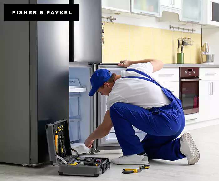 Top-Rated Fisher & Paykel Appliance Experts: Your Brand Specialist in Auburn, MA