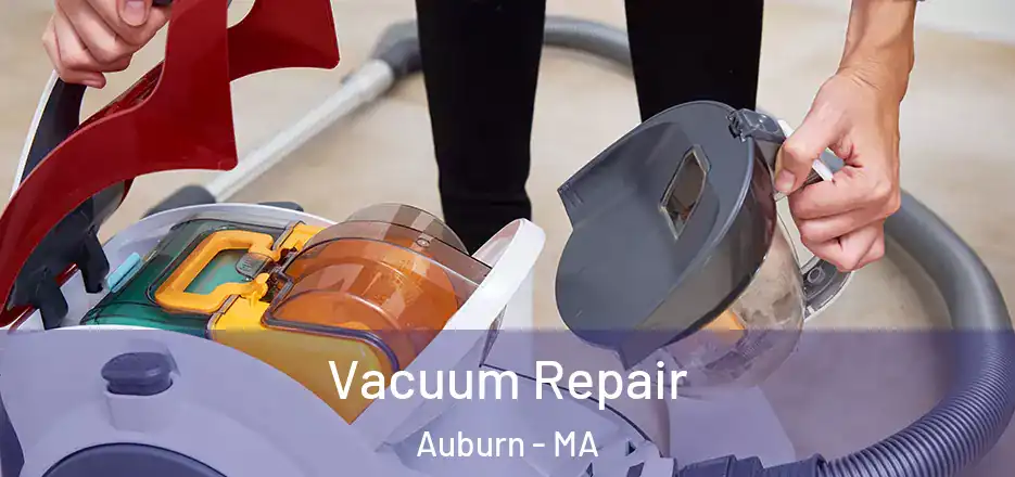 Vacuum Repair Auburn - MA