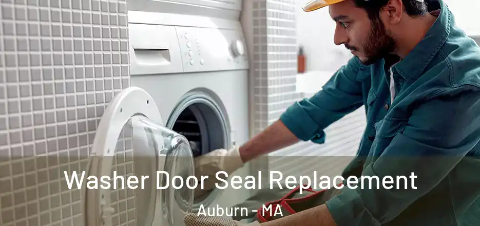 Washer Door Seal Replacement Auburn - MA