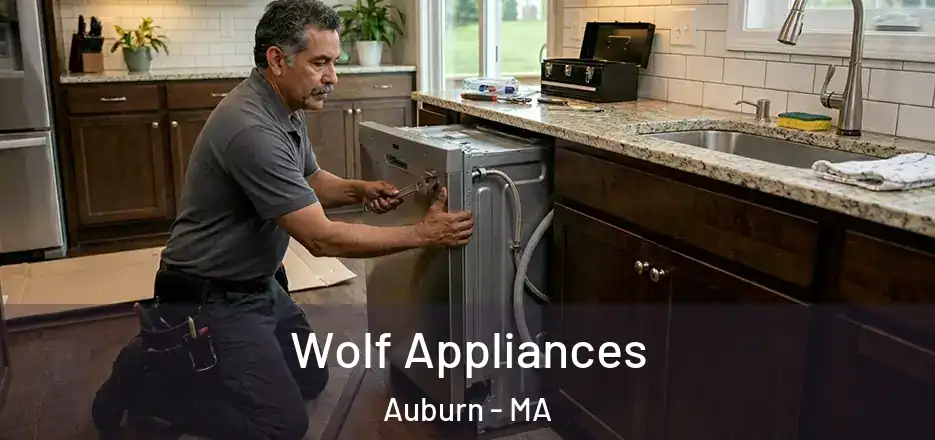  Wolf Appliances Auburn - MA